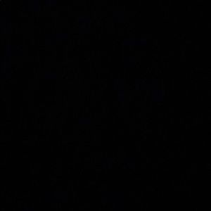 Meet your Posher, Eboni